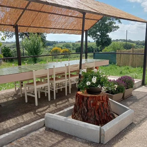 Country House L'Oliveto, hotell sihtkohas Marta