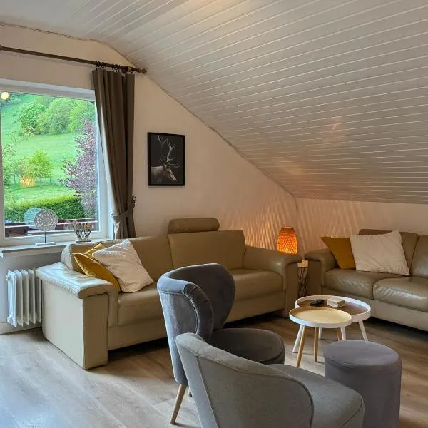 Viesnīca SonnenTraum Willingen - 95qm, 3 Schlafzimmer, 3 Bäder, Balkon & Bergblick pilsētā Vilingena
