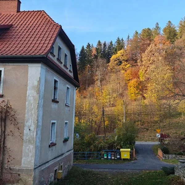 BAZA WYPADOWA 5km na Wielką Sowę! Przy strumyku z wyposażoną kuchnią, hotel di Walim