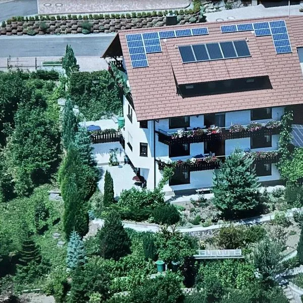 Haus Panoramablick, hotel em Bad Peterstal