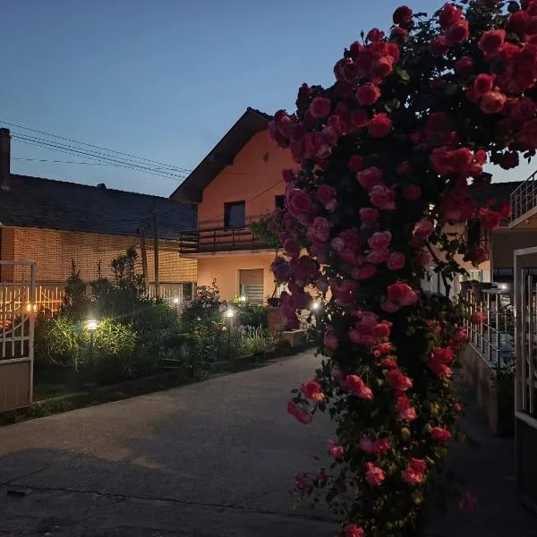 Nina Apartments, hotel v destinaci Negotin