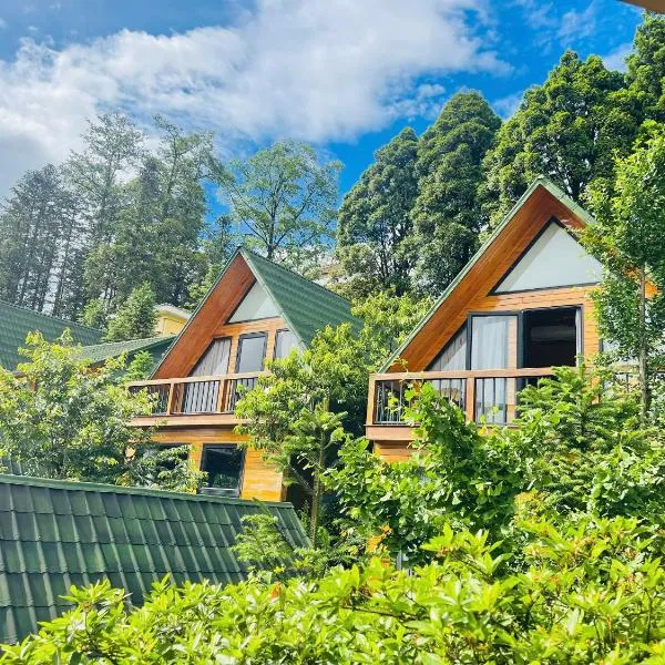 Sapa Pine Hill Eco Lodge, hotel v destinaci Sa Pa