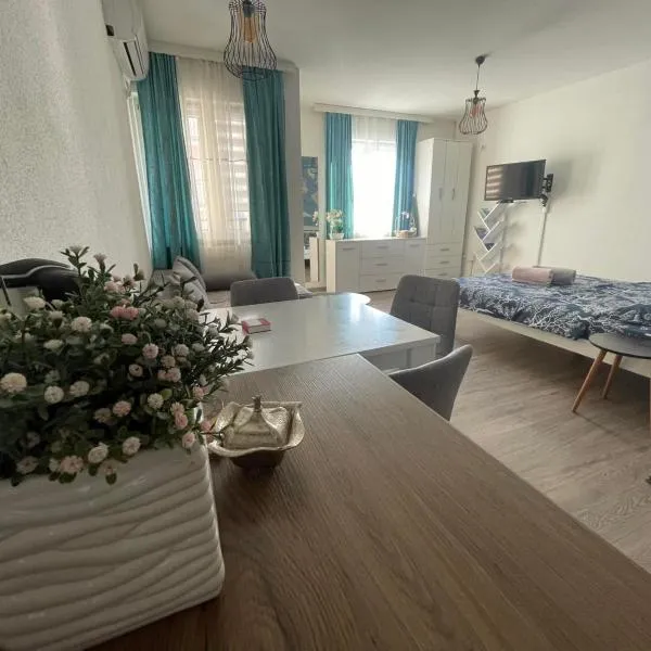 Apartman 14, hotel in Banja Koviljača