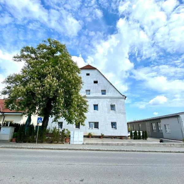 Ubytovna Kaplice, hotel di Kaplice