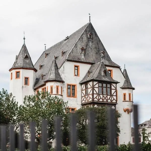 Schloss Schönborn, hotel in Geisenheim