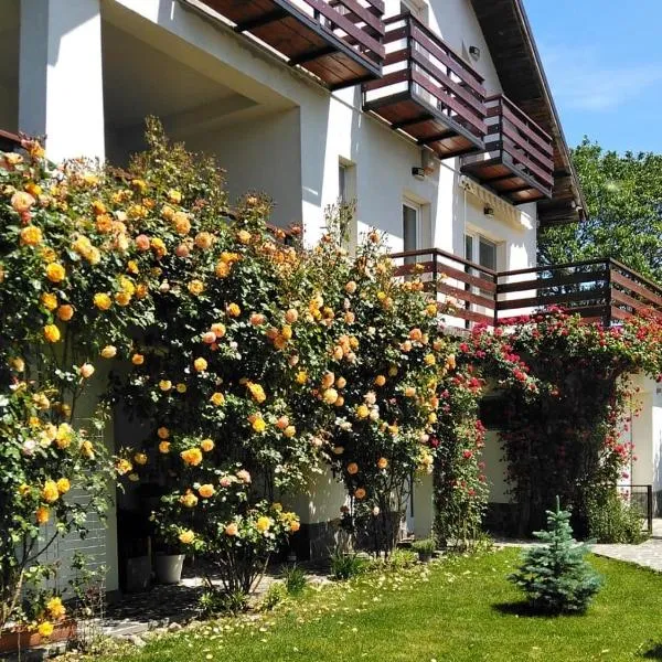 Vila Carpatina、ブレアザのホテル