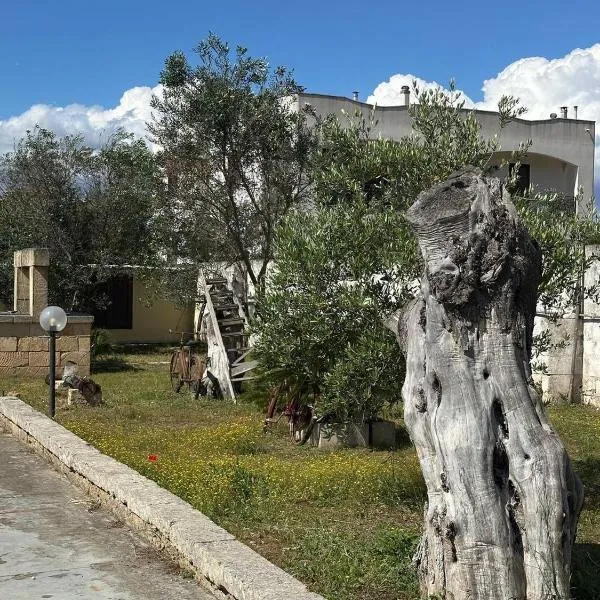 B&B Sant'Antonio, hotel sa Collepasso