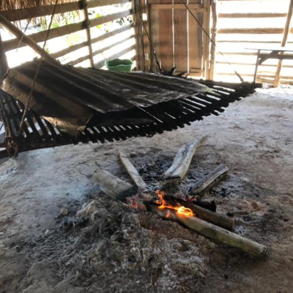 Amazonas Eco Tour - Private Jungle Tour, River Tour or Great Adventure TOUR INCLUDED ONLY IN DELUXE ROOMS - Foto 5