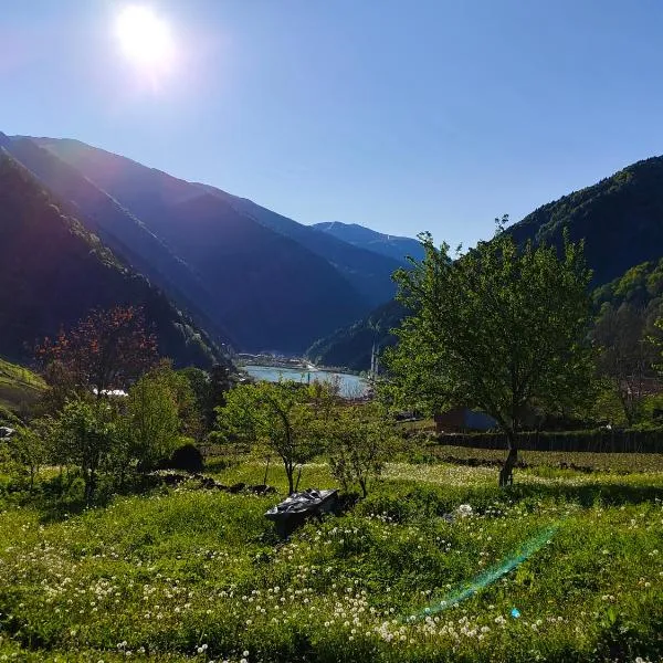 Çay Pansiyon, hotel in Uzungol