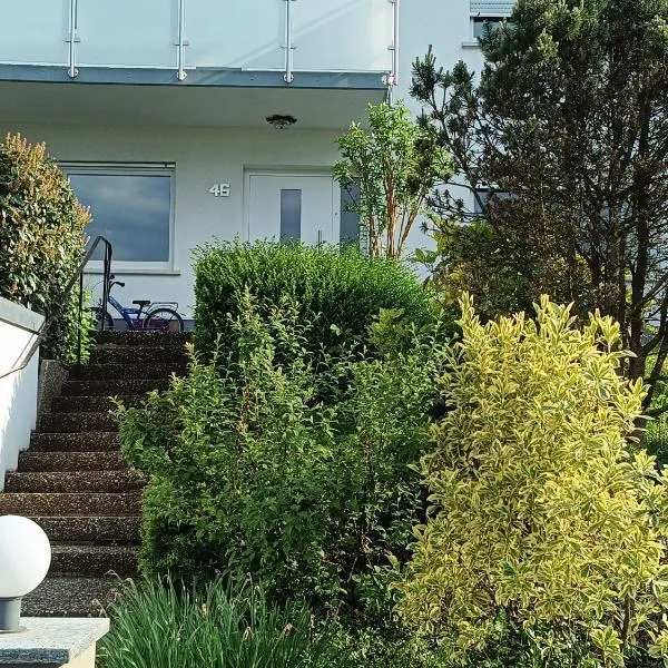 Freddy, hotel in Lörrach