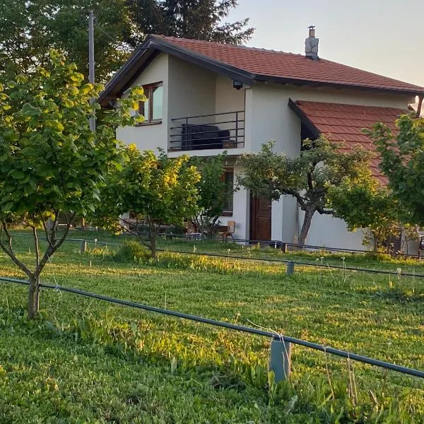 s t d -PARADISO-, hotel em Vranje