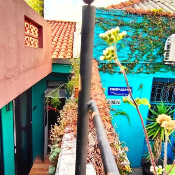 Hospedaria Casa373 - Aconchego e Tranquilidade em Vila Mariana e Vila Clementino - Foto 4