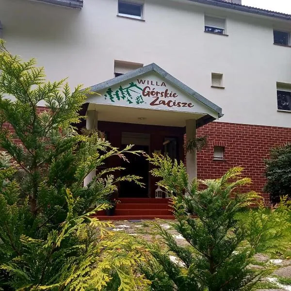 Willa Górskie Zacisze, hotel in Borowice