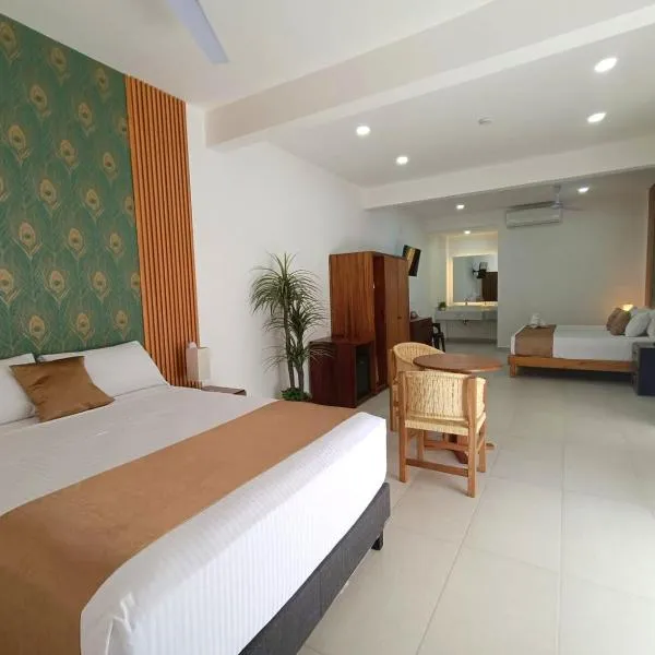 Punta Colibrí、Brisas de Zicatelaのホテル