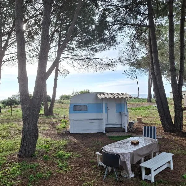 Caravane janis on the beach, hotel v destinaci Lucciana