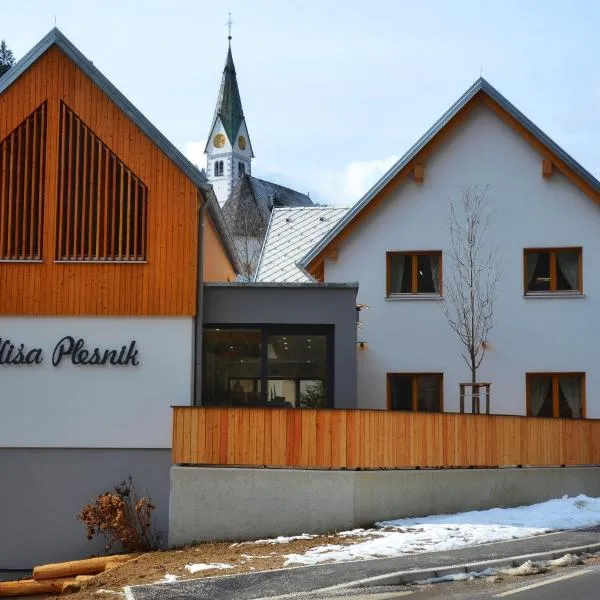 Hiša Plesnik，索爾察瓦的飯店