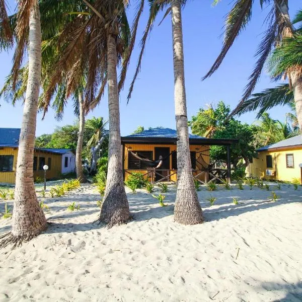 Mana Backpacker and Dive Resort, hotel in Nadi