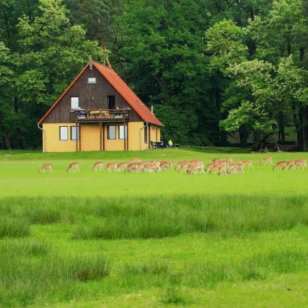 Wildpark Johannismühle, hotel di Klein Ziescht