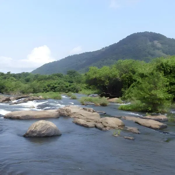 Palatty's Resorts, hotel in Athirappally
