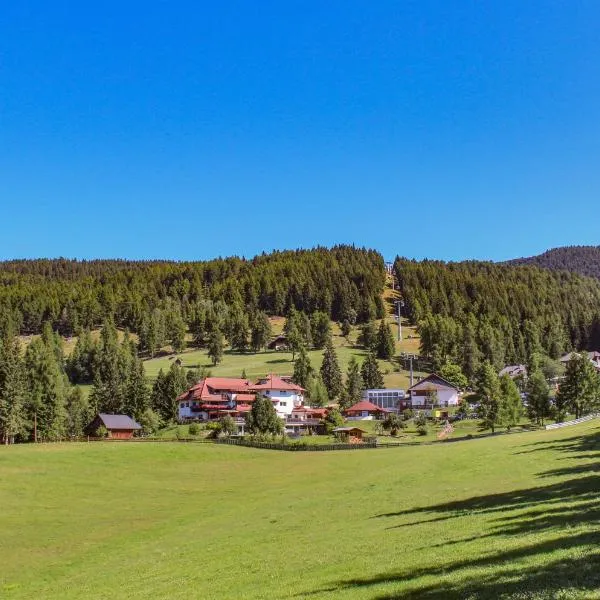 Berghotel zum Zirm, hotel sa Collalbo