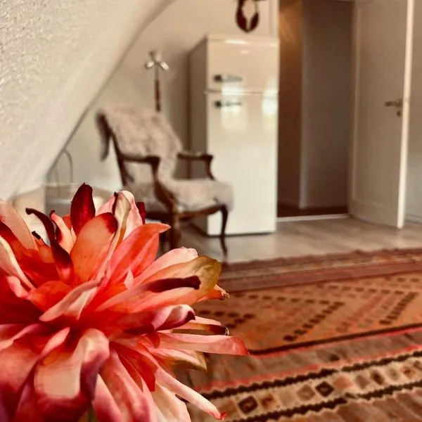 Charming rooftop apartment in Uhre, hotel in Brande