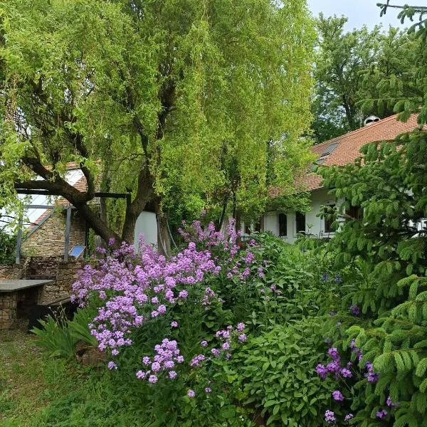 Historický objekt Ailit, hotel v destinaci Podbranč