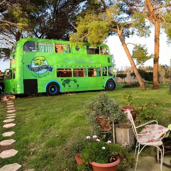 Sprocketlandia, hotel in Frigole