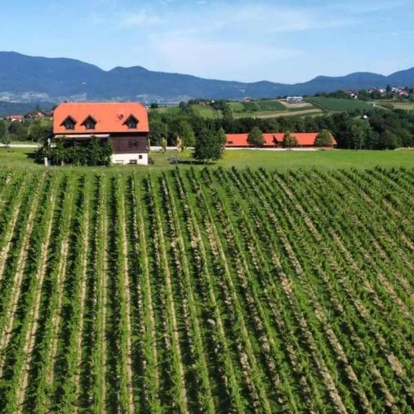Rooms Bolfan Vinski Vrh, Hotel in Hrašćina