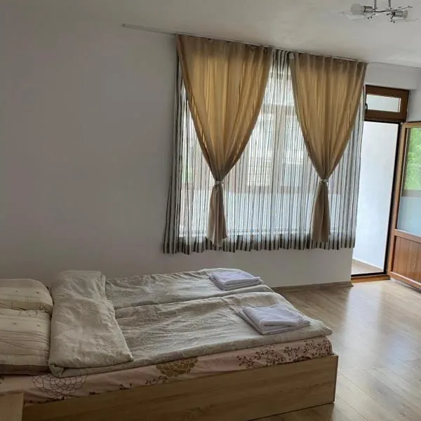 Апартамент за гости, hotel Devinben