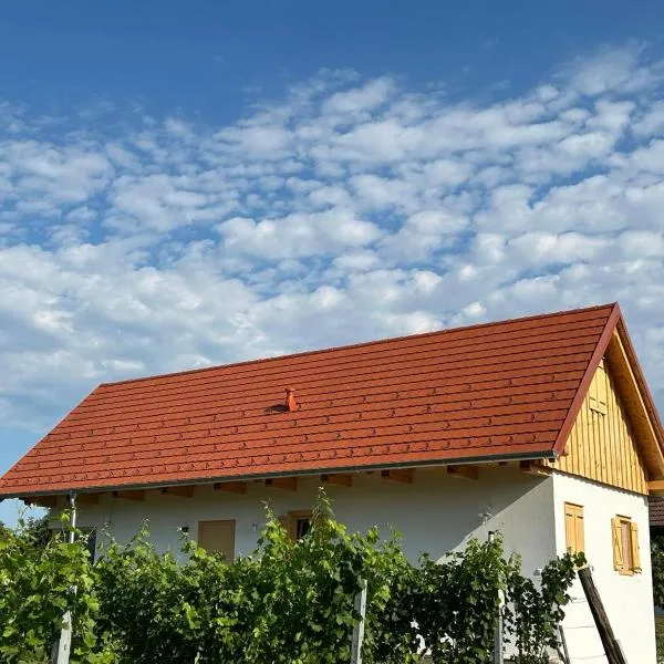 Modernes Kellerstöckl im Südburgenland，位于居辛的酒店