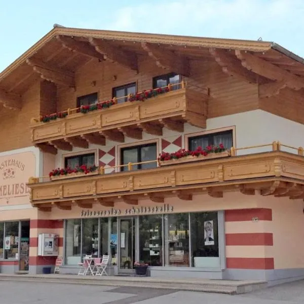 Gästehaus Anneliese, hotel in Filzmoos