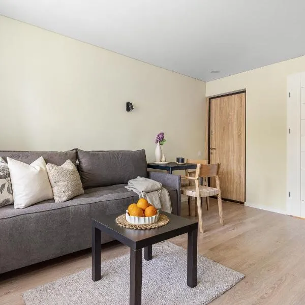 GOOD LOCATION studio near the old town - station - airport - self check in, Hotel in Vilnius