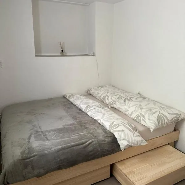 Guest-studio, hotel v destinaci Fribourg