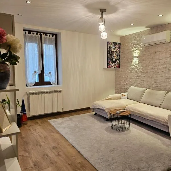 Spacious & Cozy - 3 Bedrooms, hotel v destinaci Chasse-sur-Rhone