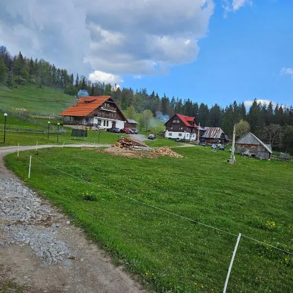 Pensiunea Scarisoara, hotel v destinaci Gheţari