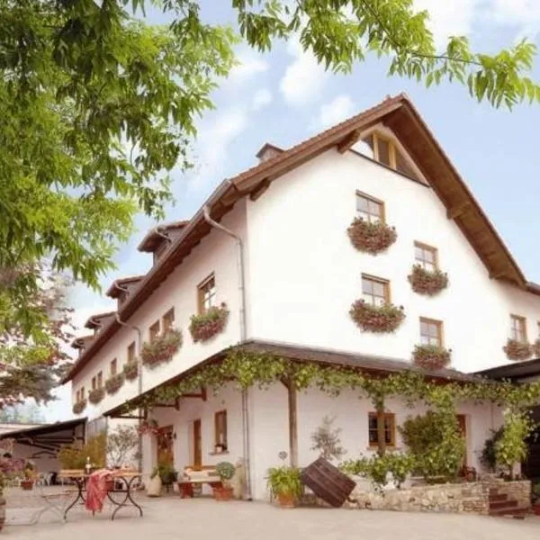 Winzerhotel Kinges-Kessel, hotel in Mörstadt