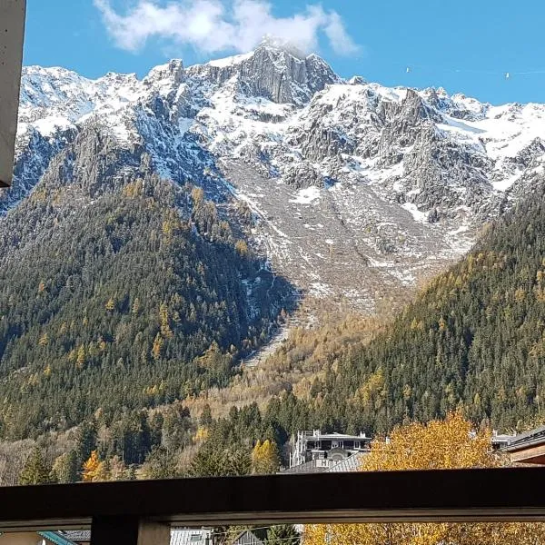 Vue magique en hypercentre avec parking privatif, hotel em Chamonix-Mont-Blanc