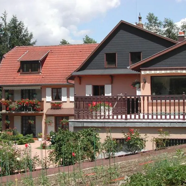 BELLE VUE F3 4 to 6 people, hotel in Sainte-Marie-aux-Mines