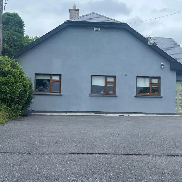 Castletown, hotel v destinaci Carlow
