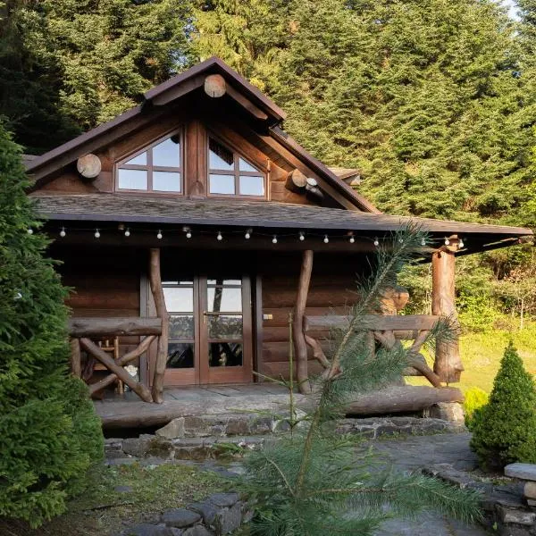 Forest House exclusive, khách sạn ở Skhidnitsa