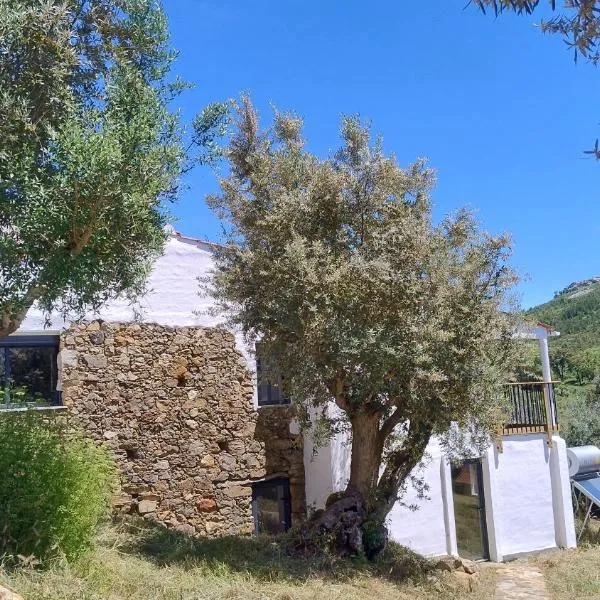 Alegria rustica 2 Rustic happiness, Hotel in Envendos