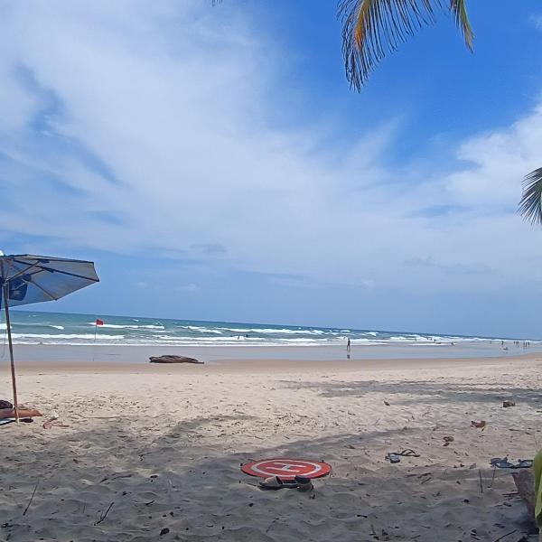 Sabiá - Foto 5