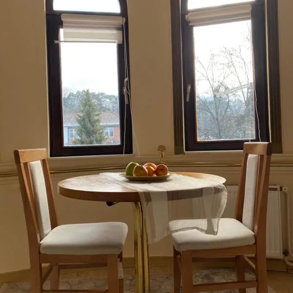 Studio Carobna Dunja, hotel en Banja Koviljača