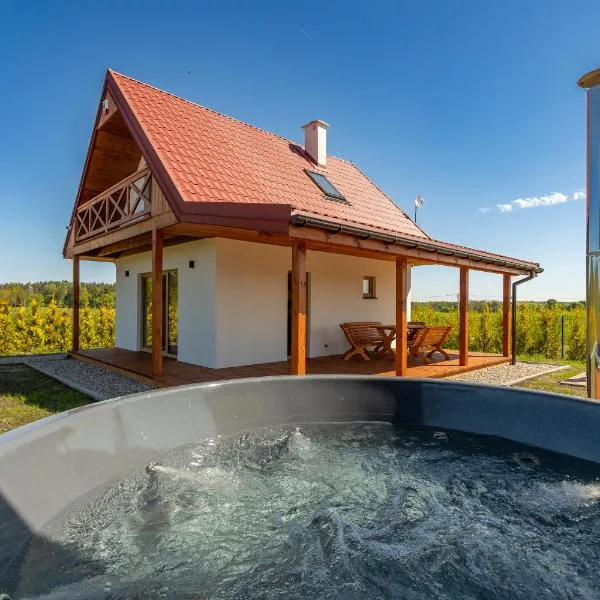Wichrowe Wzgórze Chill House Jabłonowo, hotel in Stare Miasto