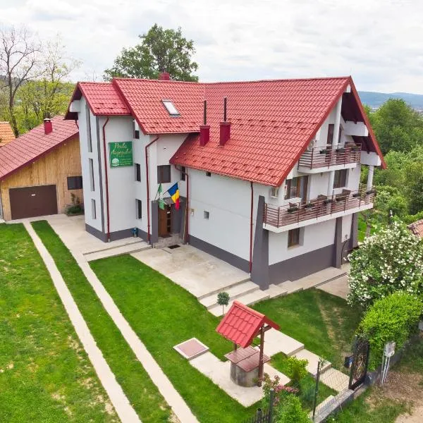 Perla Argesului, Ciubar, Piscina, Lift, Gratar, Cabana, Pensiuni, Hotel Cazare Transfăgarasan Curtea de Arges, hotel v destinaci Albestii de Arges