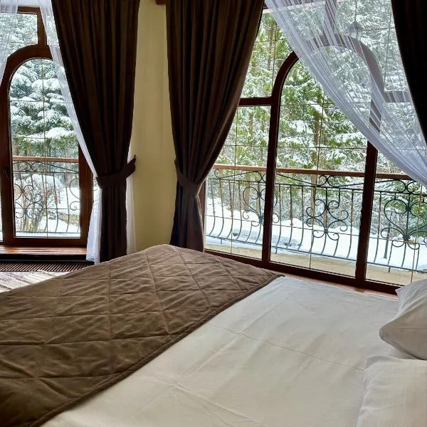 Hotel Dykyi Med, hotel sa Tatariv