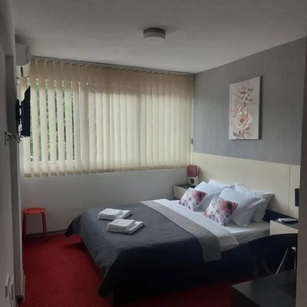 Rooms S&S Milicevic u strogom centru Aleksandrovca, hotel v destinaci Aleksandrovac