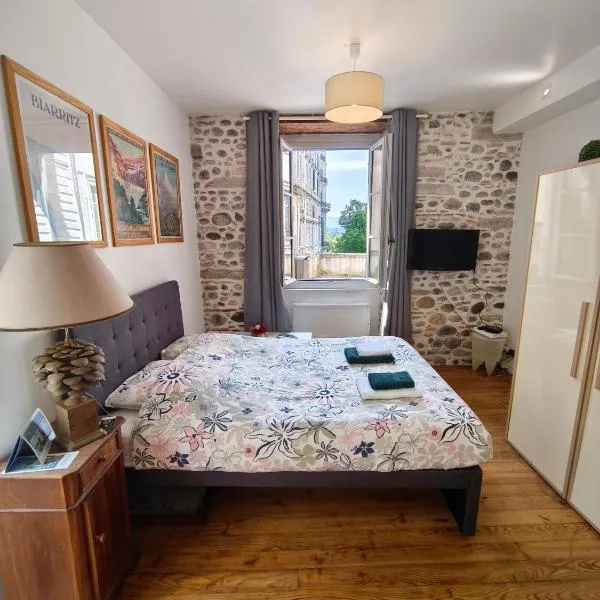 Studio RUBIS Quartier du Château, hotel in Pau