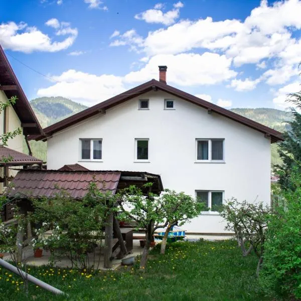 Casa Puiu, hotel in Câmpulung Moldovenesc
