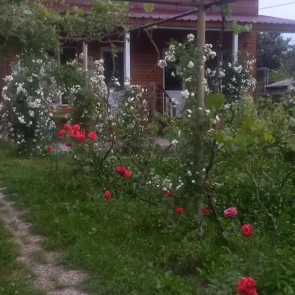 Cottage and Gigo Papa's Wine Cellar, hotel a Kvareli